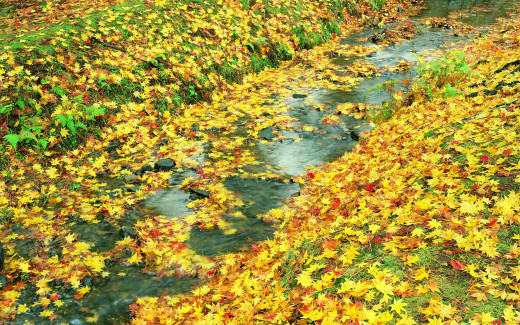 452644 (a): :1680x1050